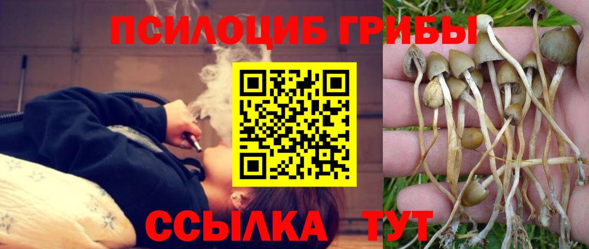 Белореченск  Псилоцибиновые грибы Psilocybe  Вход с VPN 